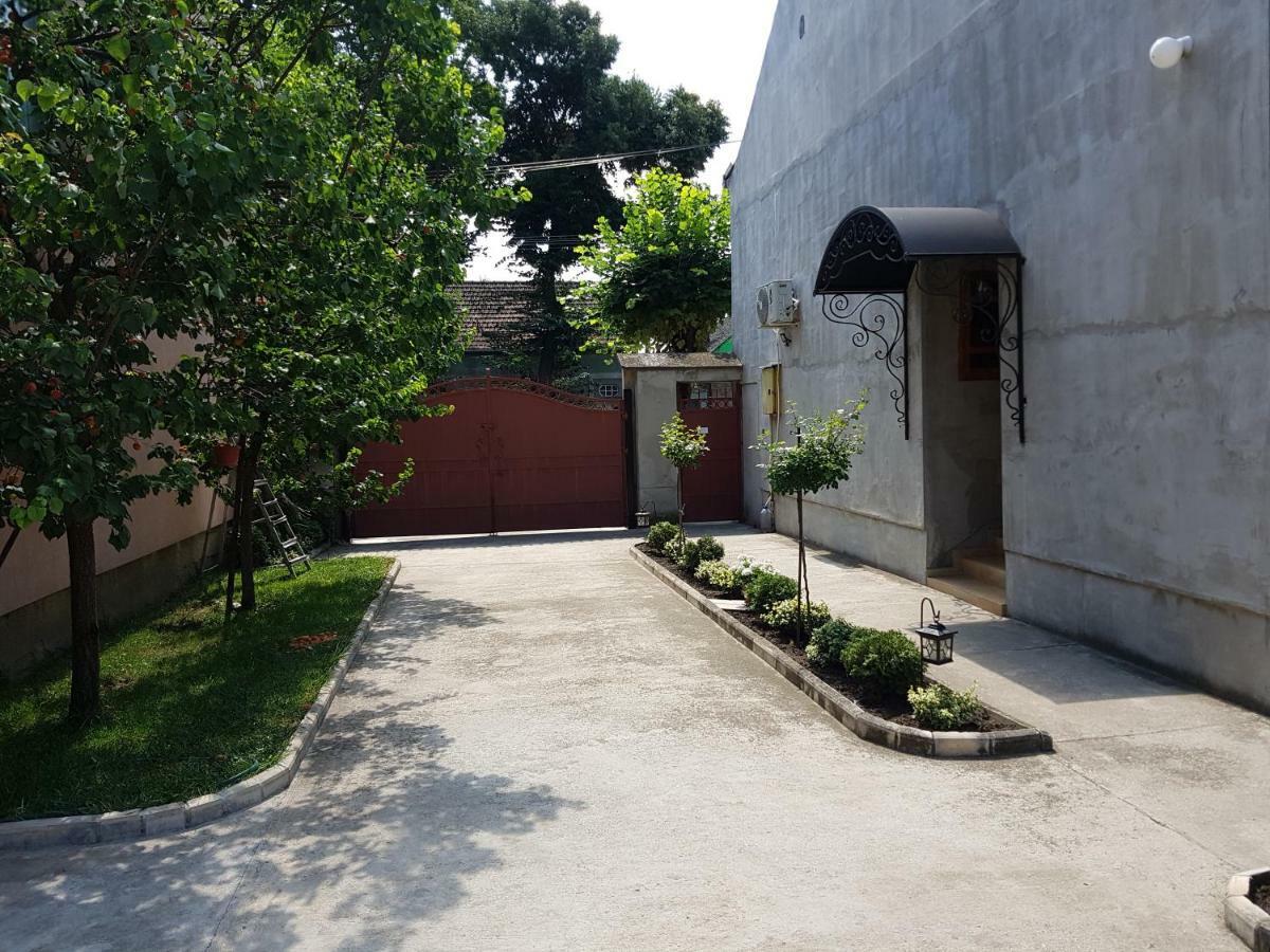 Apartman Vila Milica Kikinda Ngoại thất bức ảnh